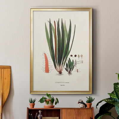 " Botanical Society Ferns V "