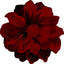 Tapis à motif floral rouge Kunzler-349811046