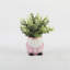 Plante d'eucalyptus artificiel 5 "en pot