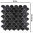 Expressions Series Expressions Scallop Black 11-1/4" x 12" Glass Mosaic Floor and Wall Tile