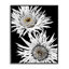 «Bold Contrast Flower Buds», estampe numérique encadrée par Heidi Bannon-107873358-111733948