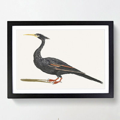 Water Bird by Johan Teyler - Picture Frame Art Print