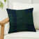 Indoor and Outdoor Throw Pillow