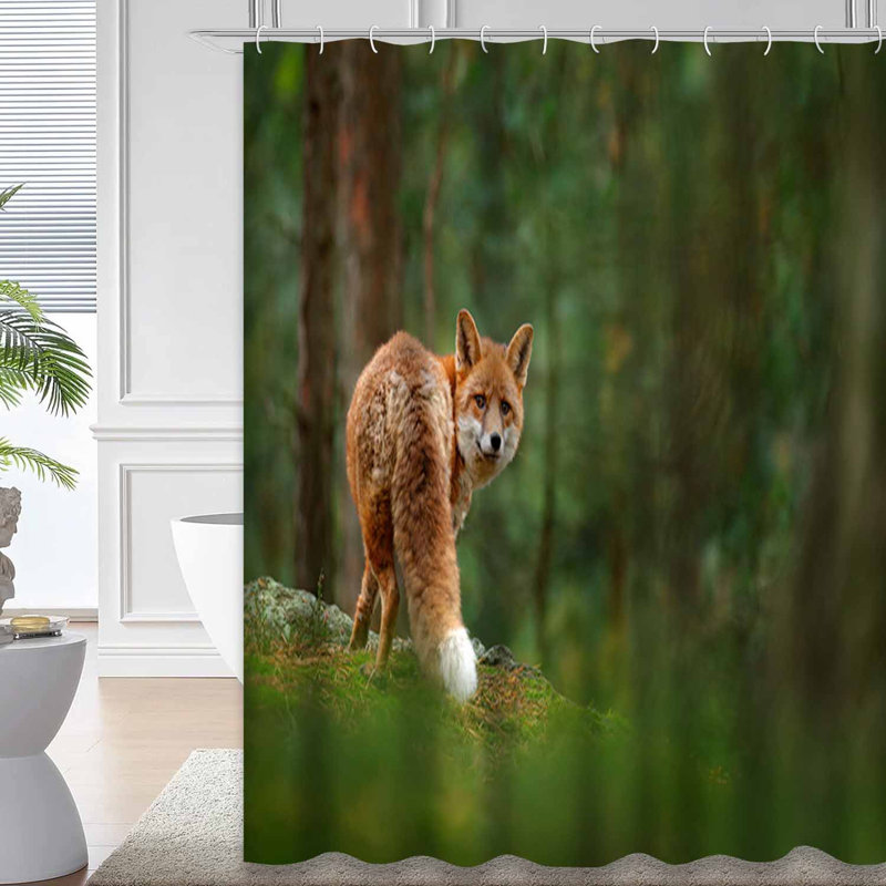 Rideau de douche avec 12 crochets Fox Forest, L 72 po x l 72 po