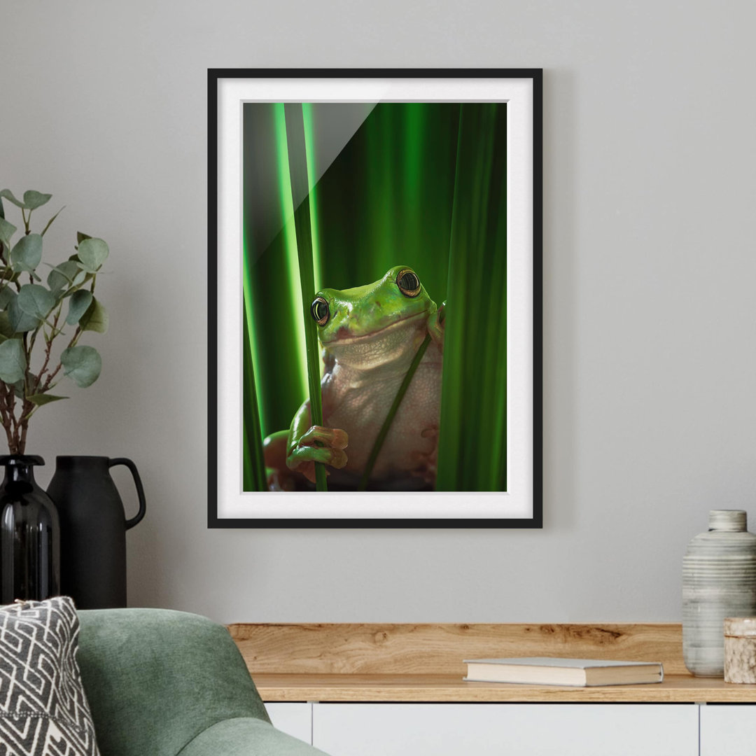 Gerahmtes Poster Happy Frog