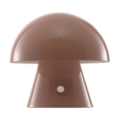 Xyanna Metal Desk Lamp