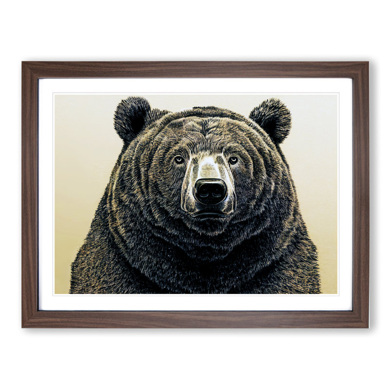 Outstanding Bear - Single Picture Frame Print, 34cm H x 46cm W x 2cm D, Walnut
