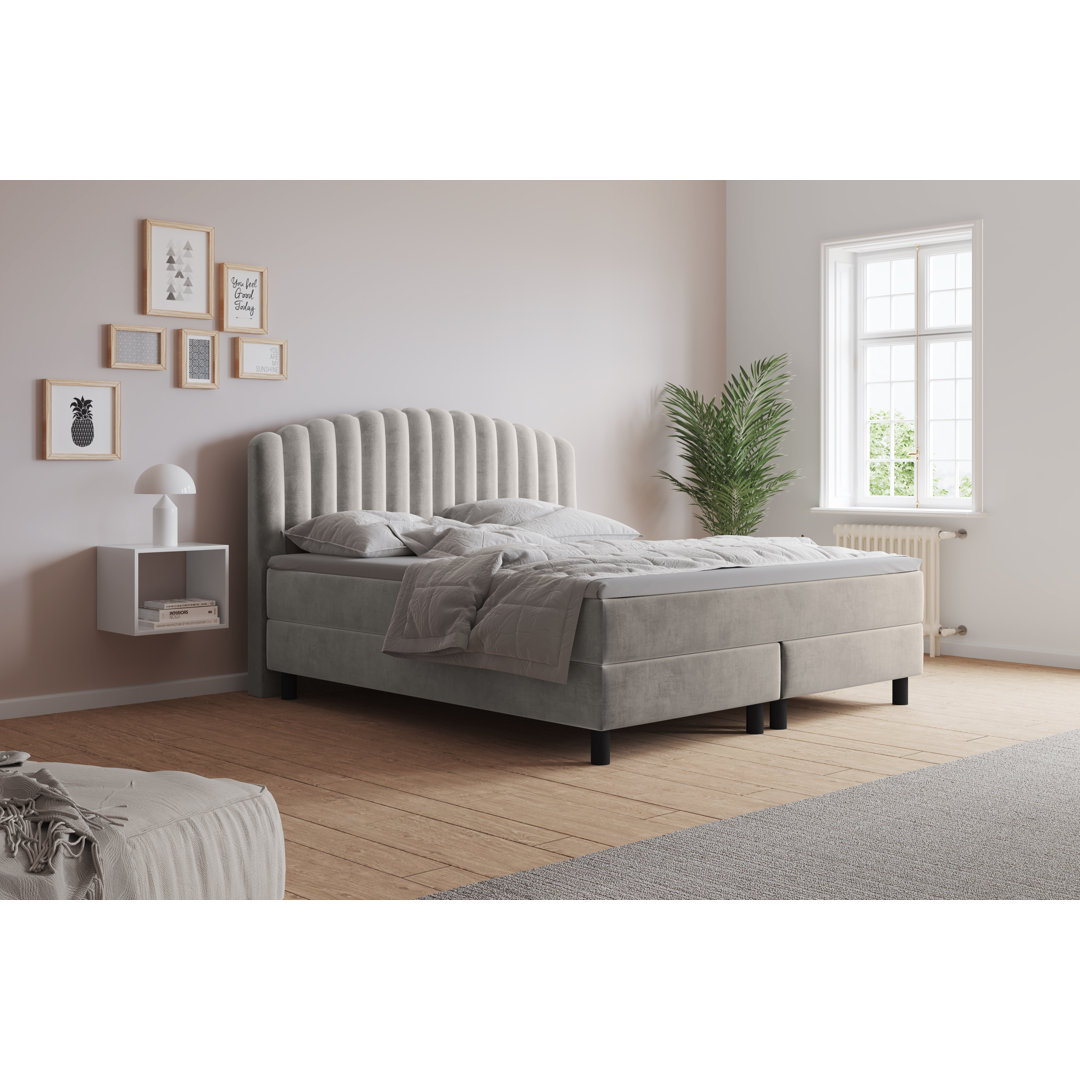 Boxspringbett Adinath mit Kaltschaum Topper, mit Samtstoff bezogen