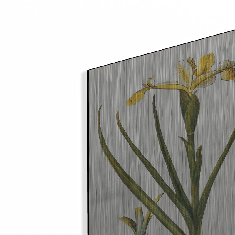 «Orchids» par Art Licensing Studio, art mural en métal de luxe, 24 po x 36 po, H 36 po x l 24 po
