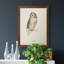 Toile encadrée de qualité supérieure Tawny Owl - prête à être accrochée-141755249-141755250
