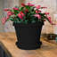 Pot à fleur intérieur / extérieur en plastique Terra-317655722-317655700