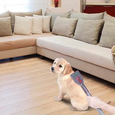 Nécessaire d'aspirateur pour chien