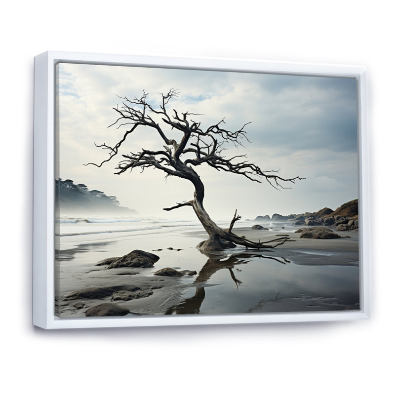 «Beach Tree Solitude II», reproduction sur toile, H 12 po x l 20 po x P 1 po, Cadre flottant blanc