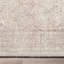 Ervin Isolde Vintage Oriental Botanical Ivory & Cream Area Rug-87869677
