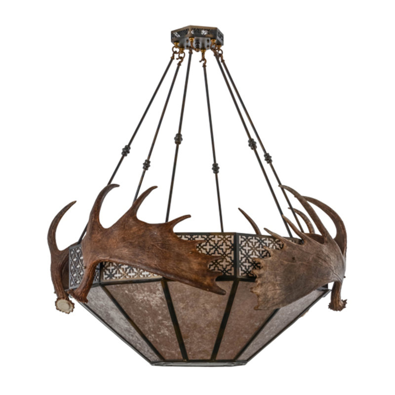 Antlers 8 - Light Pendant