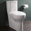 Equility Dual-Flush Elongated One-Piece Toilet (Seat Included)