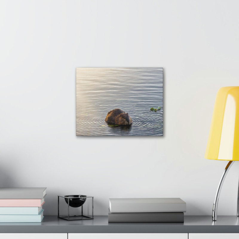 No Frame Print on Canvas, 30.48cm H x 40.64cm W