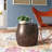 Brishti Iron Top End Table