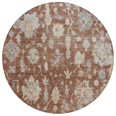 Machine Washable Indoor/Outdoor Francky ACN2355 Traditional Rug