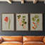 «Botanical Array IV», ensemble de 3 reproductions d'art sur toile-908556545-908556574