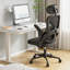 Ergonomic Office Chair, Desk chair with Adjustable Armrest, Headrest and Lumbar Support-374476781