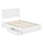 Lamayia Solid Wood Sleigh Platform Bed with Footboard and Storage Drawers-2033809130-2033809131