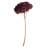 Natural Botanicals 15" Hydrangea with Multiple Branch Segments, Preserved-1594274024