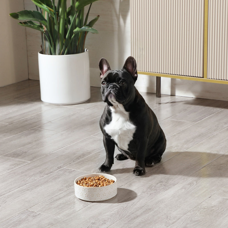 Flower Embossed Pattern Anti-skid Stoneware Dog Bowl, 480ml