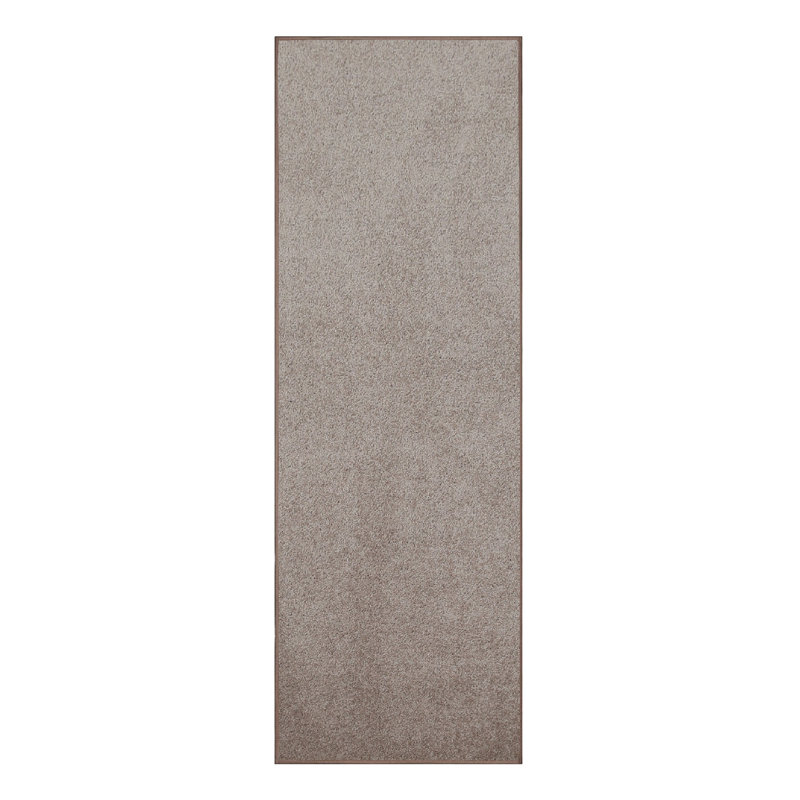 Modern Plush Pet and Kids Friendly Solid Color Area Rugs, Stain & Fade Resistance, Bedroom, Playroom and Kidsroom, Event, Wedding, Perfect for Living Room, Dining Room, Beige Rug