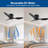 Genovera 40'' Ceiling Fan with LED Lights-1938768818