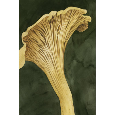 Taysir Chanterella I by Grace Popp - Wrapped Canvas Print
