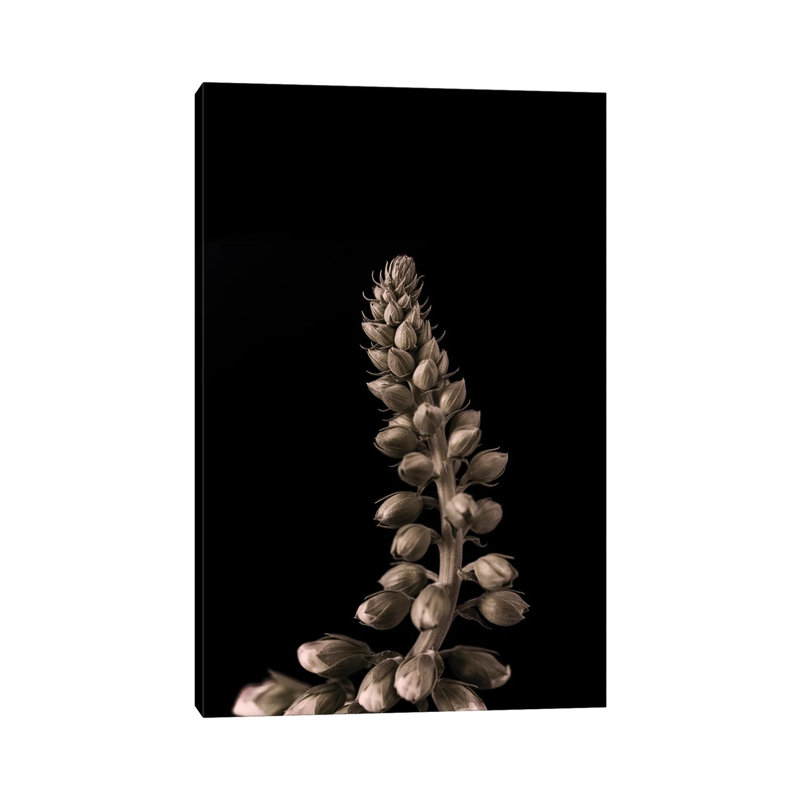 Upwards II by Design Fabrikken - Wrapped Canvas Print, 20.32 cm H x 30.48 cm W