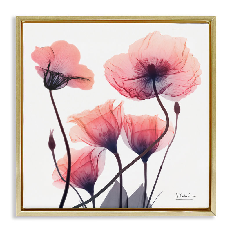 Cadre flottant élégant et moderne avec coquelicots, design par Albert Koetsier, H 25 po x l 25 po