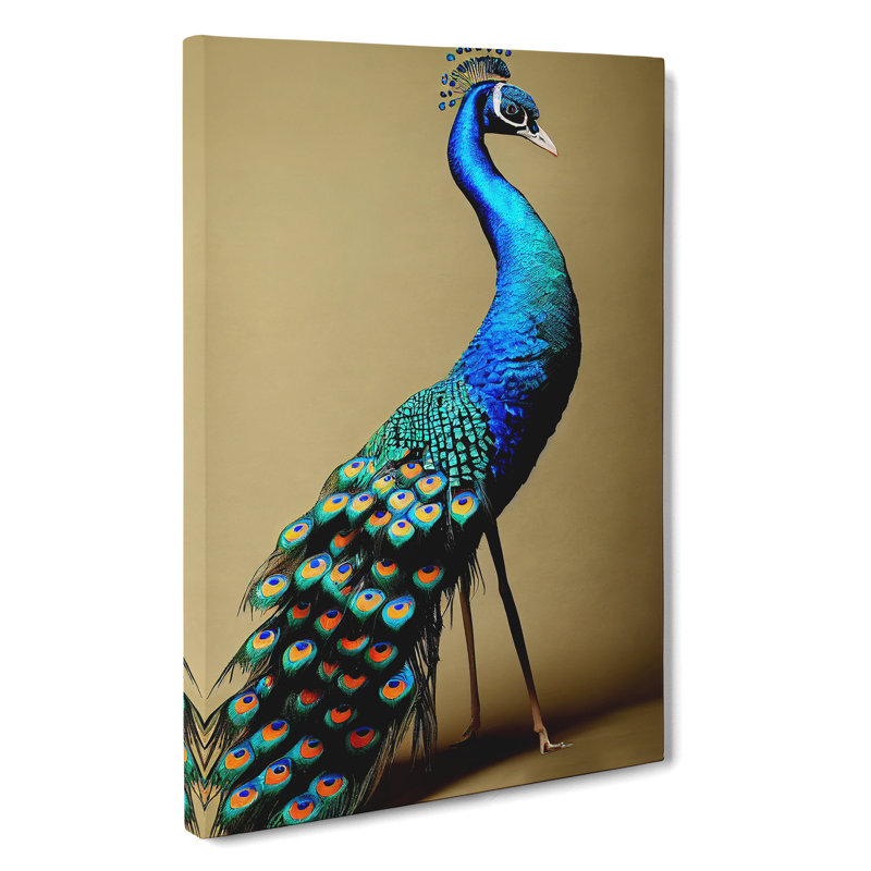 XV1022-4257X Stunning Peacock - Print, No Matte, 50cm H x 35cm W, Wrapped Canvas