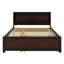 Cadres de lit double en bois Bonney avec lit gigogne et tiroirs de rangement-2119693219