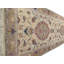 Oriental Area Rug in Ivory