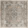 Jurado Oriental Beige/Gray Area Rug