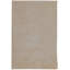 Striped Area Rug in Beige