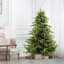 Foxtail Pine 7.5' Green Pine Artificial Christmas Tree-596987008-603104499
