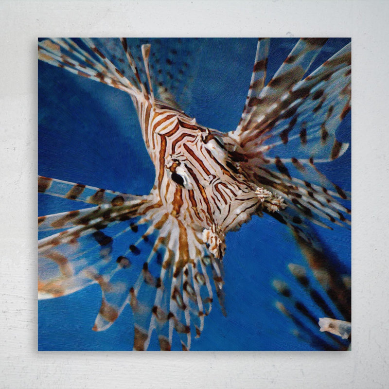 Un lion, peinture sur toile tendue, H 32 po x l 32 po