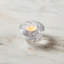 Shell Tealight