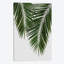 «Palm Leaf II» par Orara Studio - impression d'art graphique sur-1686404392-1686404443-1686404433