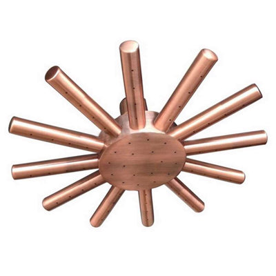 Pomme de douche BathSelect