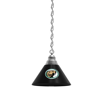 1 - Light Single Pendant