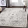 Maleisha Oriental Indoor Rug