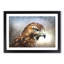 Hawk - Picture Frame Painting Print-56712035-56712036