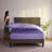 1800 Series Double-Brushed Microfiber Hypoallergenic Sheet Set-22057759-22057766