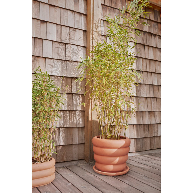 Awa Planter