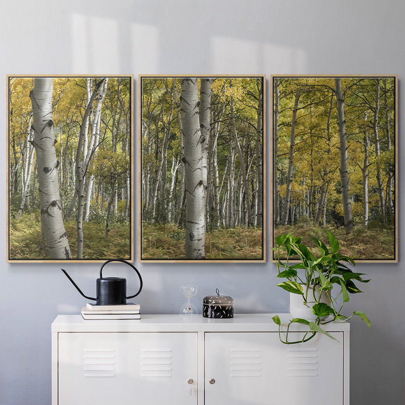 Aspen Grove II, reproduction sur toile 3 pièces, H 24 po x l 48 po x P 2 po, Naturel