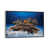 Silver Framed Canvas is unavailable
